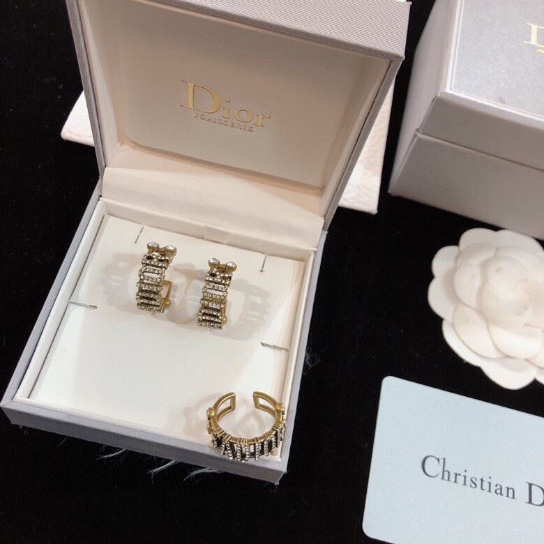 chr1st1an D10r earrings